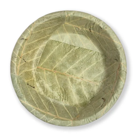 Biodegradable Sal leaf plate 500ml, 19.5 cm diameter, natural eco tableware